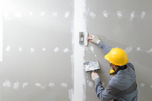 Best Drywall Texturing  in Grandview, IL